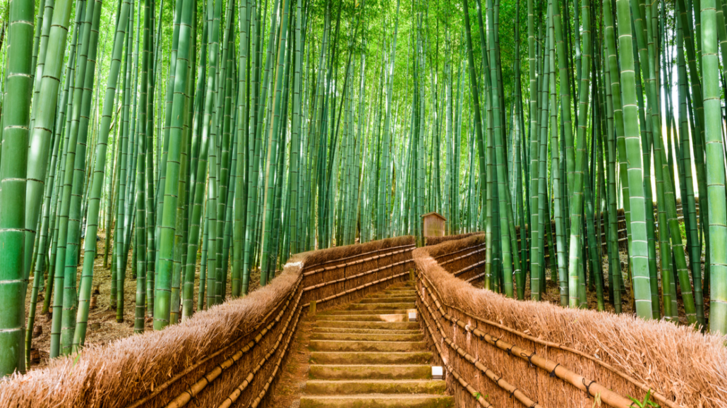 This image has an empty alt attribute; its file name is Most-Instagrammable-Places-in-Japan-1030x578.png