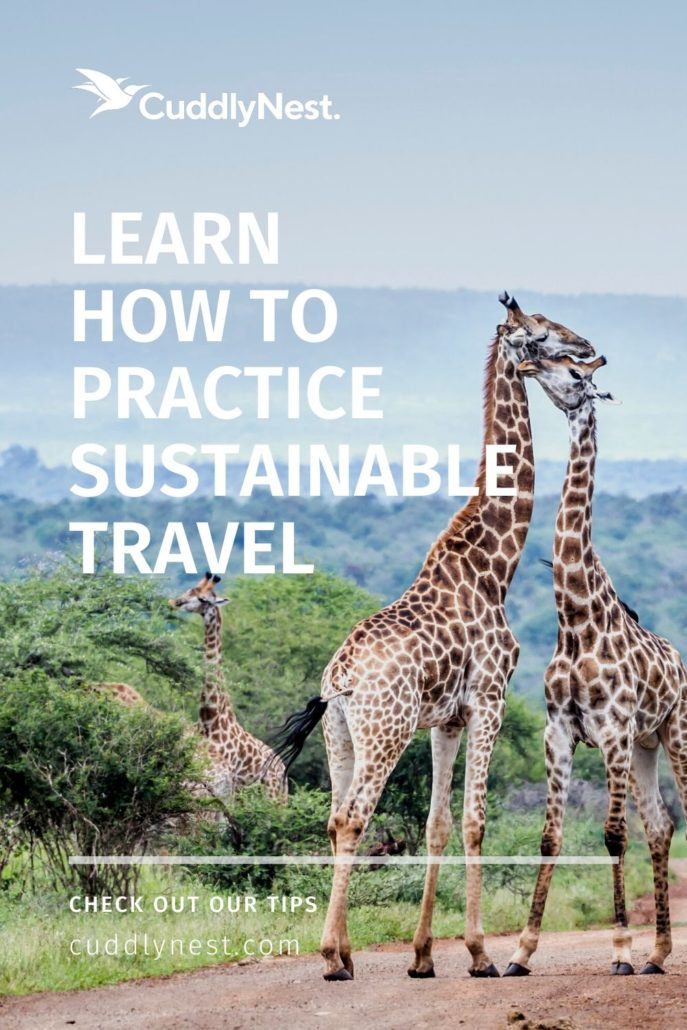 practice sustainable travel ecotourism pin